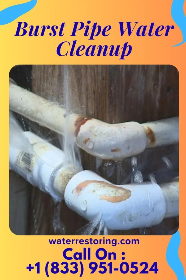 Burst Pipe Water Cleanup in Spring Valley, OH
