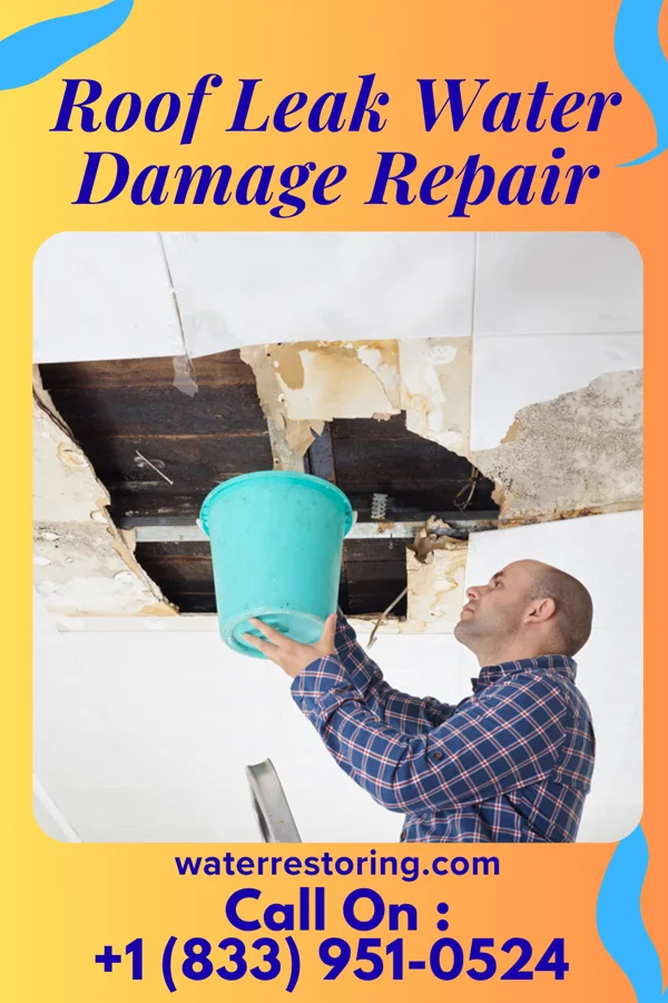 Roof Leak Water Damage Repair in Spring Valley, OH