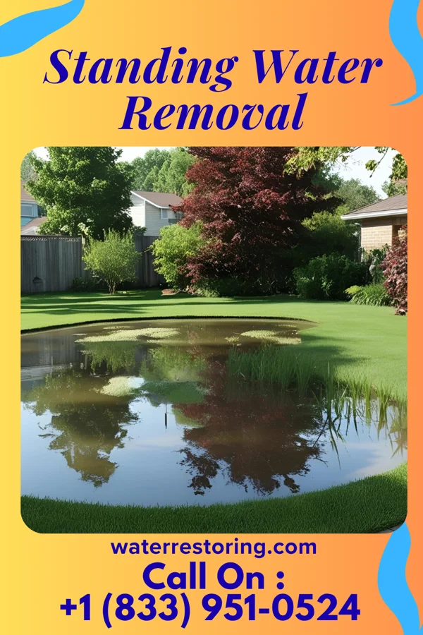 Standing Water Removal in Spring Valley, OH